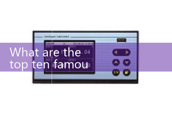 Thermal mass flowmeter manufacturer
